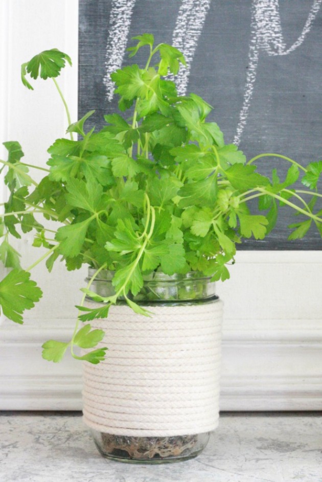 DIY Mason jar herb planter